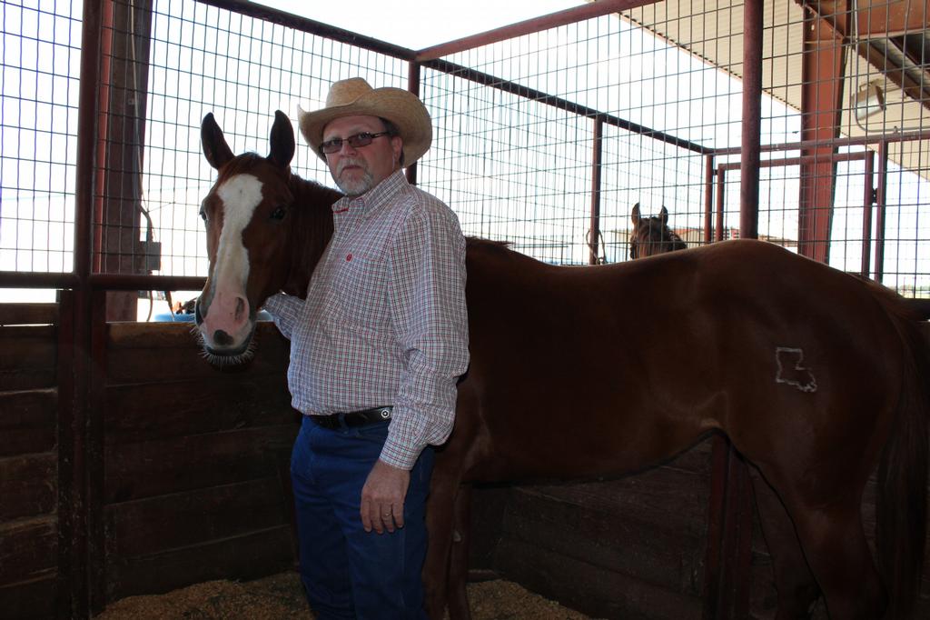 Louisiana Laroux Quarter Horse Opelousas LA 70570 3379424282